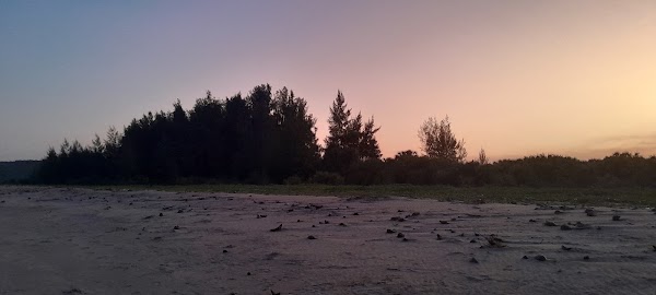 Pangani beach Resort