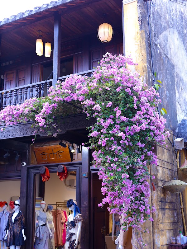 OCHE Boutique - Tailor Hoi An 4