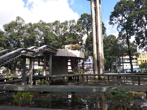 Turtle Pond 4