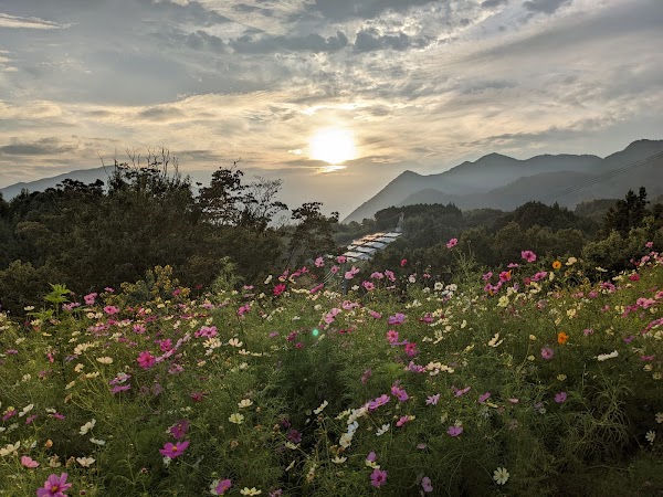 Yellow Hills in Inuyose Pass 4
