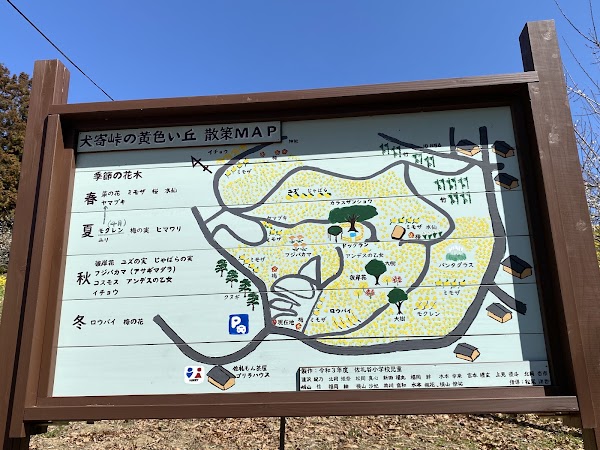 Yellow Hills in Inuyose Pass 3