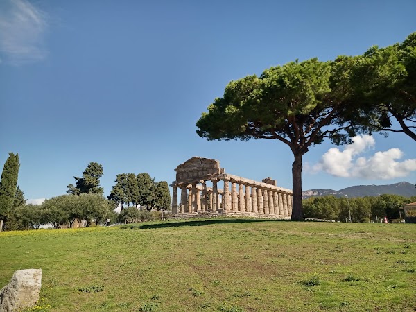 Paestum 5