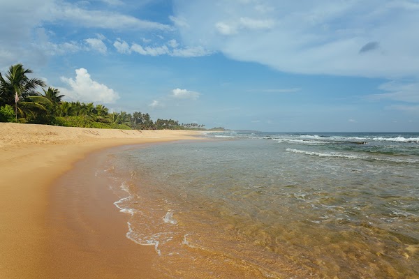 Tangalle Beach