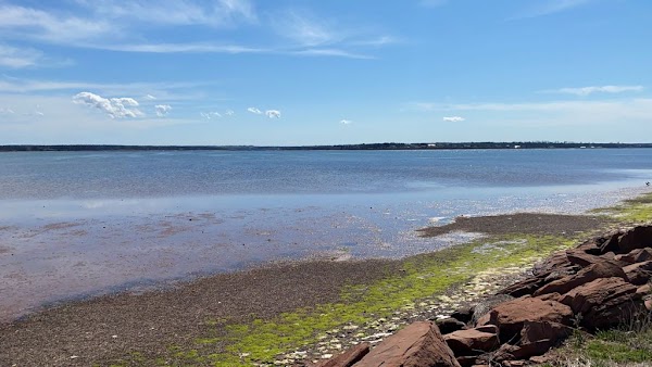 Pei 12