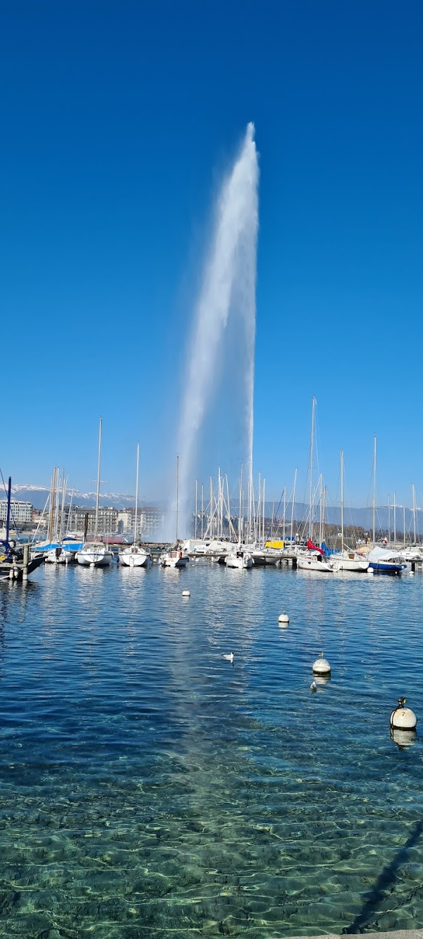 The Geneva Water Fountain 5