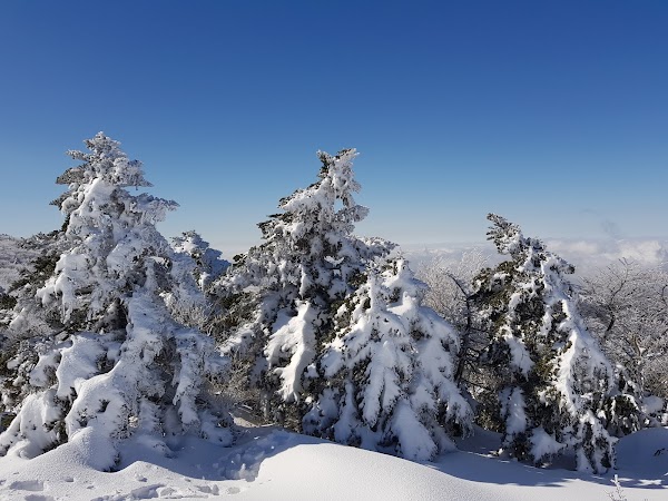 한라산국립공원 영실 관리사무소 1