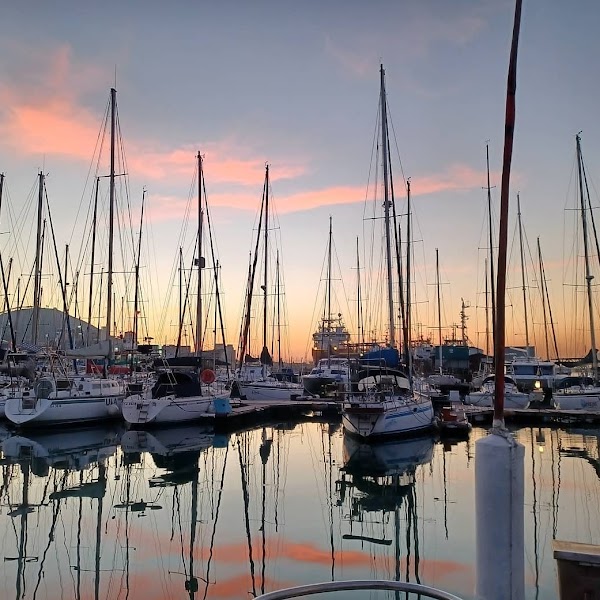 Royal Cape Yacht Club