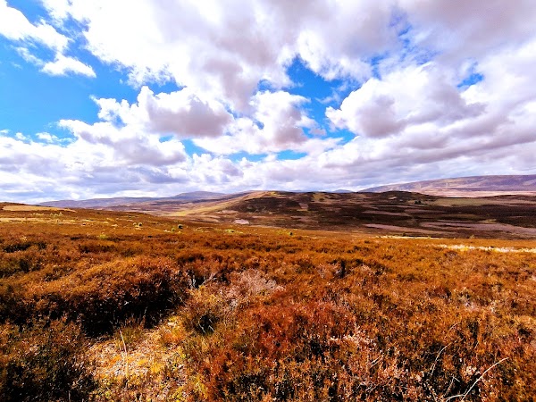 Cairngorms