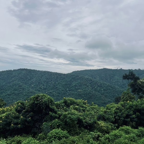 Dong Phayayen–Khao Yai Forest Complex 5