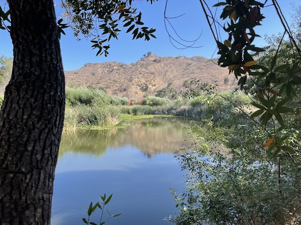 Malibu Creek Rock Pools 4