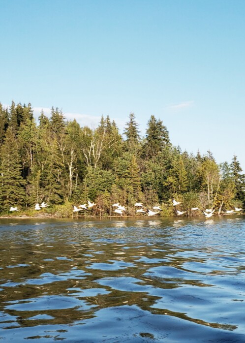 Lake Athabasca 1