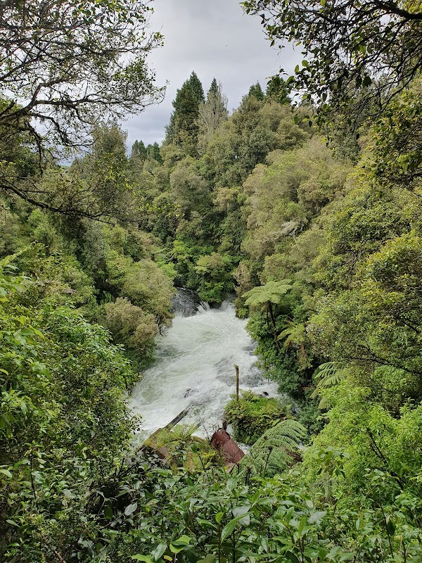 Okere Falls Track