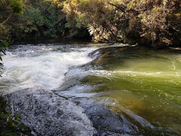 Okere Falls Track 5