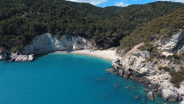 Spiaggia di Portogreco 1