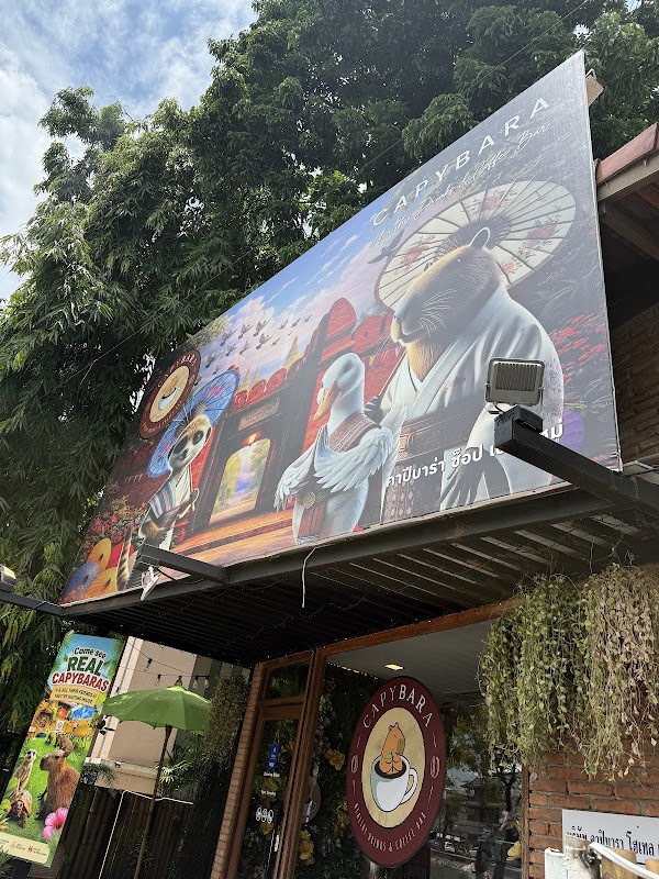 Capybara Coffee Chiang Mai