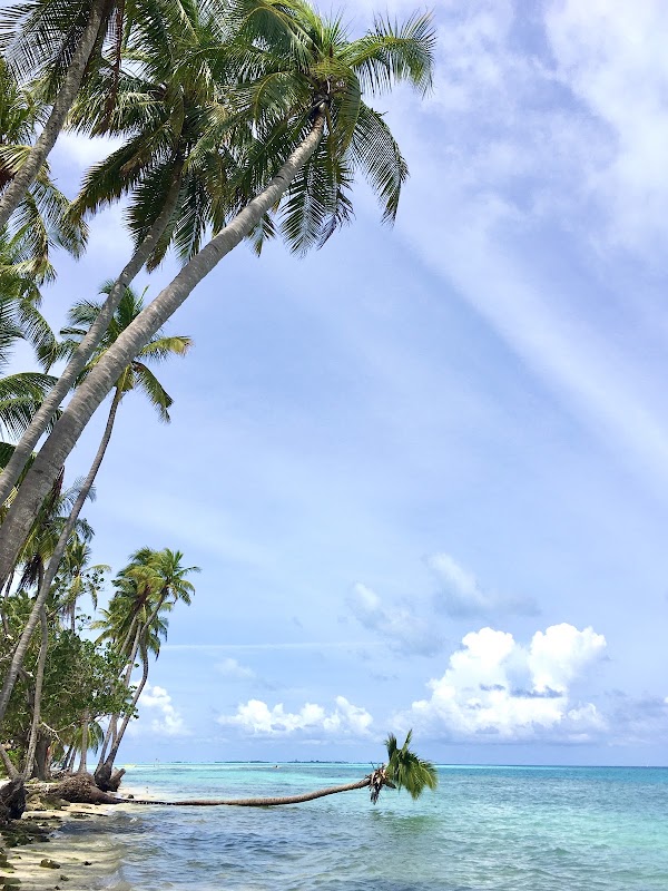 Dhiffushi 4