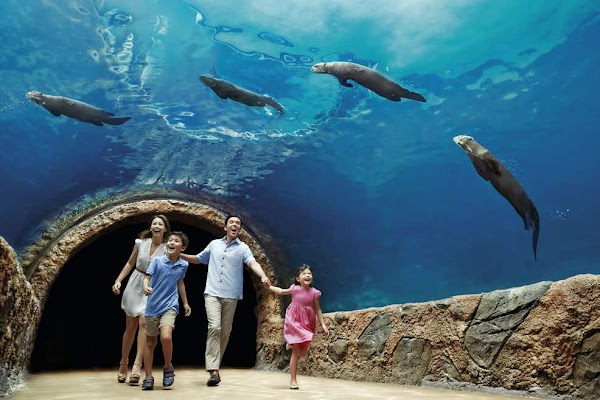River Wonders 1