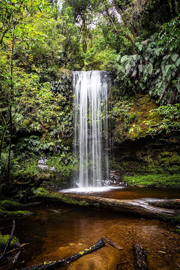 Koropuku Falls