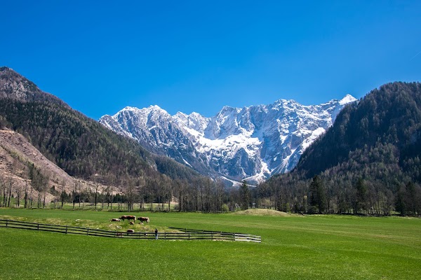 Planšarsko jezero 3