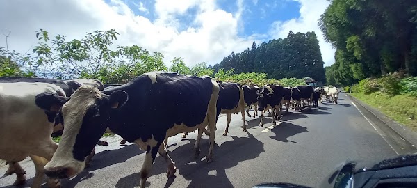 Cinco Ribeiras