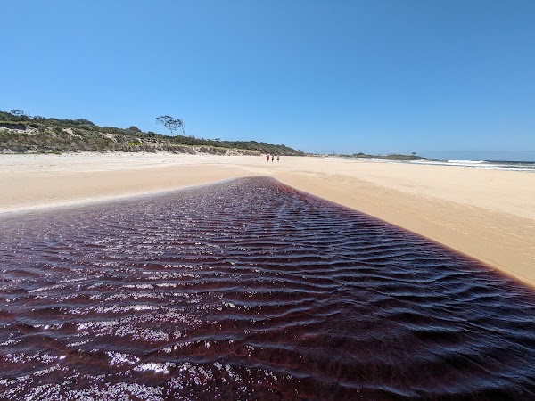Yuraygir National Park 5