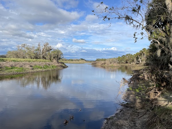 Myakka River State Park 5