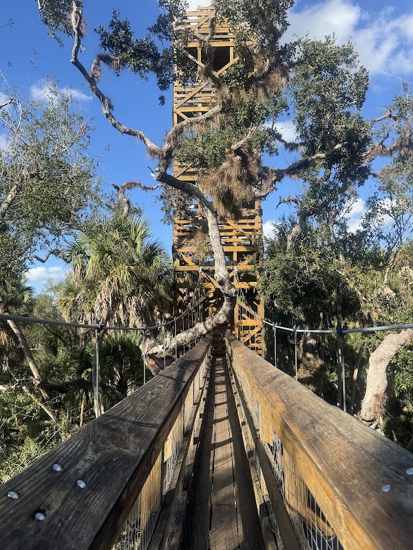 Myakka River State Park 3