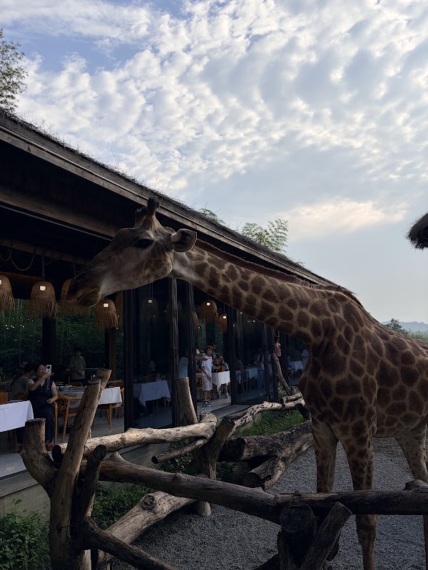 Giraffe Manor Hotel