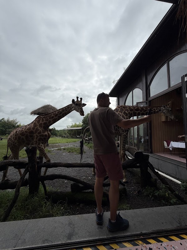 Giraffe Manor Hotel 4