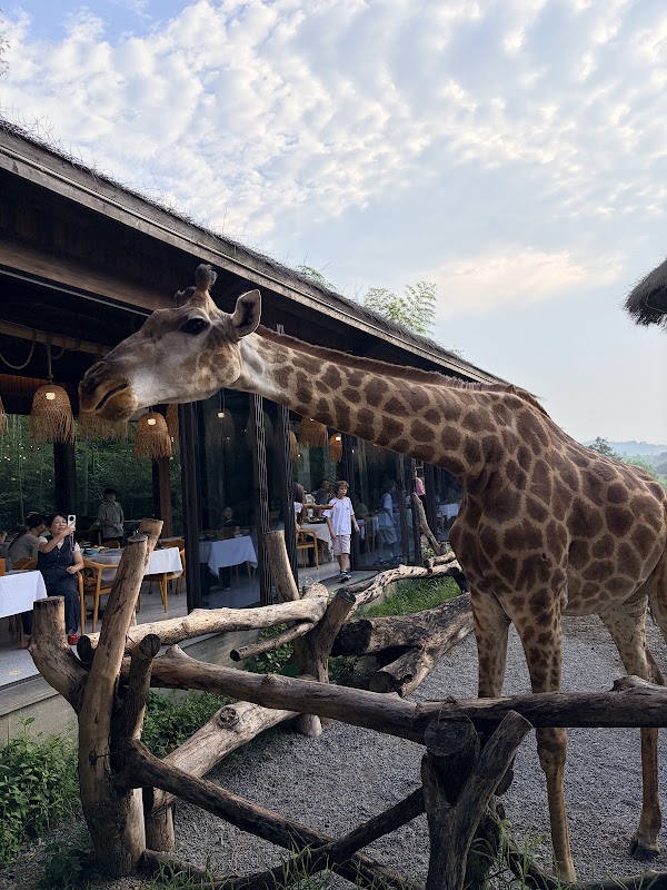 Giraffe Manor Hotel 3