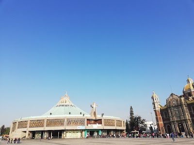 Basilica of Our Lady of Guadalupe