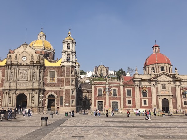 Basilica of Our Lady of Guadalupe 5