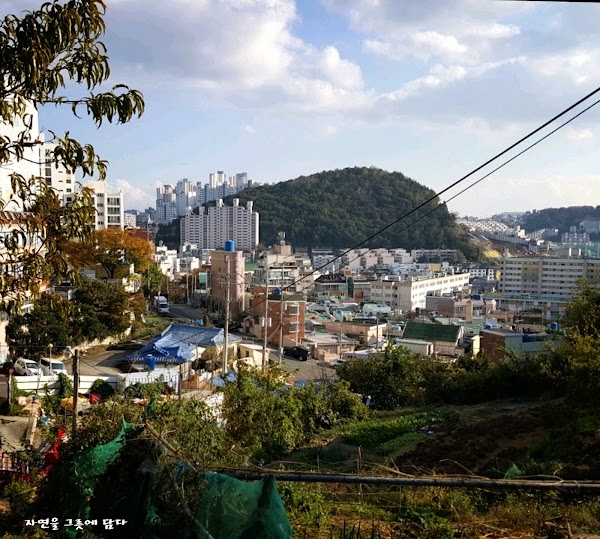 Busanjin District