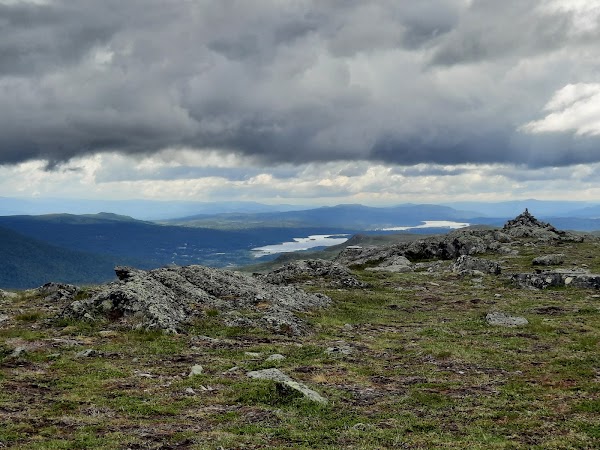 Svansjökläppen