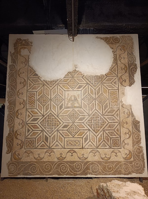 Antiquarium 2