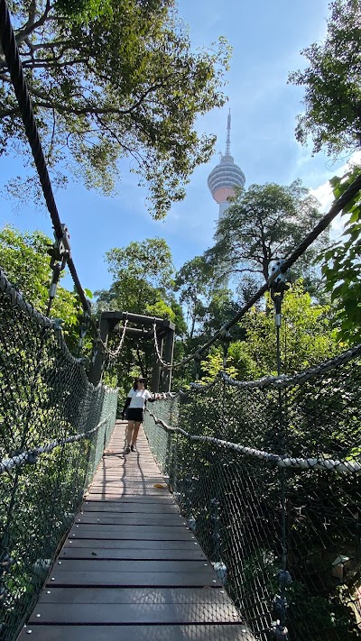 Bukit Nanas Forest Reserve