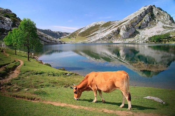 Spain 24