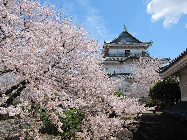 Wakayama Castle 5