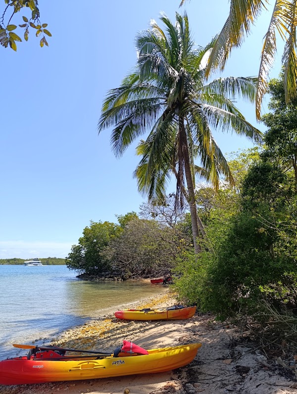 Sandspur Island 5