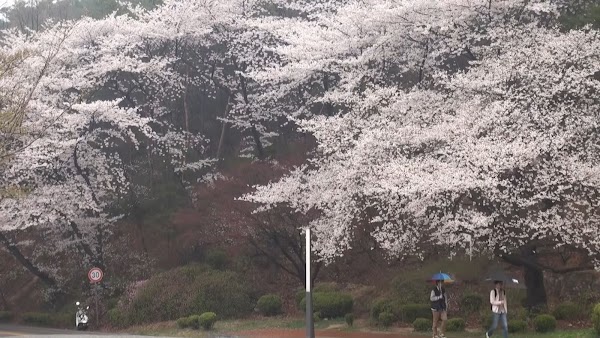 Yeongjongdo 3