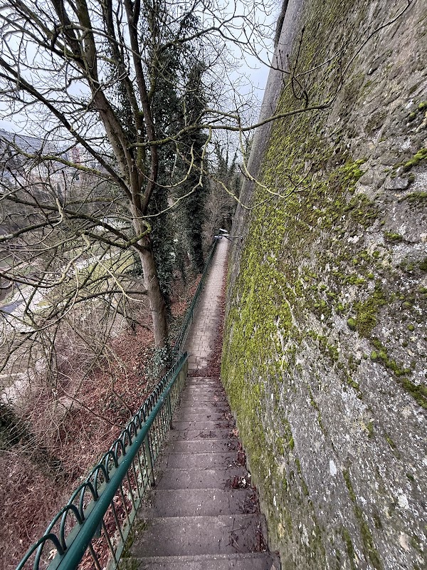 Vallée de la Pétrusse 5
