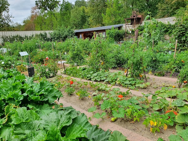 Potager Caillebotte