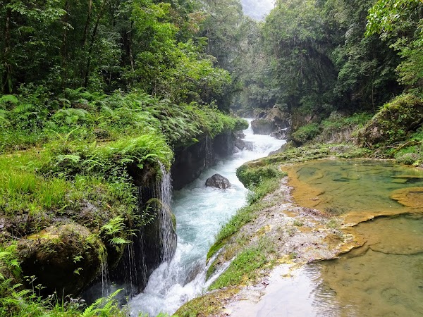 Semuc Champey 4