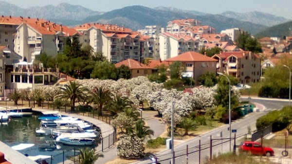 Tivat 2