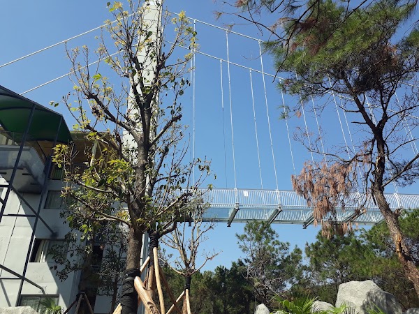 Glass Bridge 5
