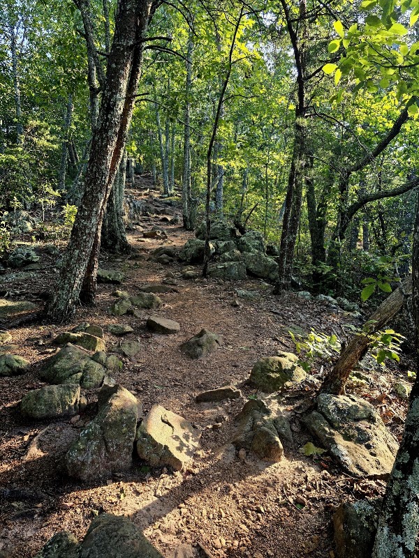 Crowders Mountain 2