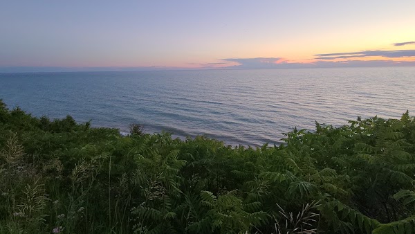 Bayfield 5