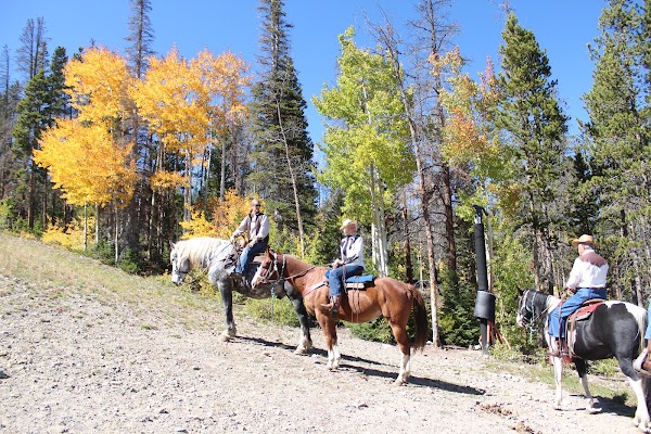 Breckenridge Stables 1