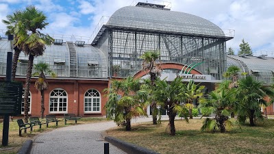 Frankfurt 6