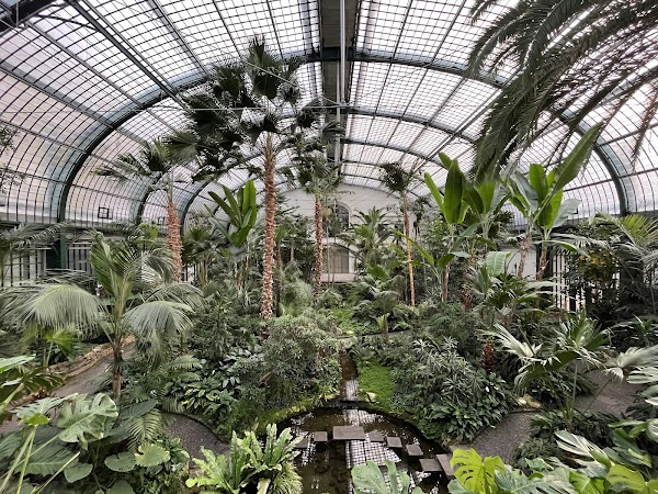 Palm Gardens 4